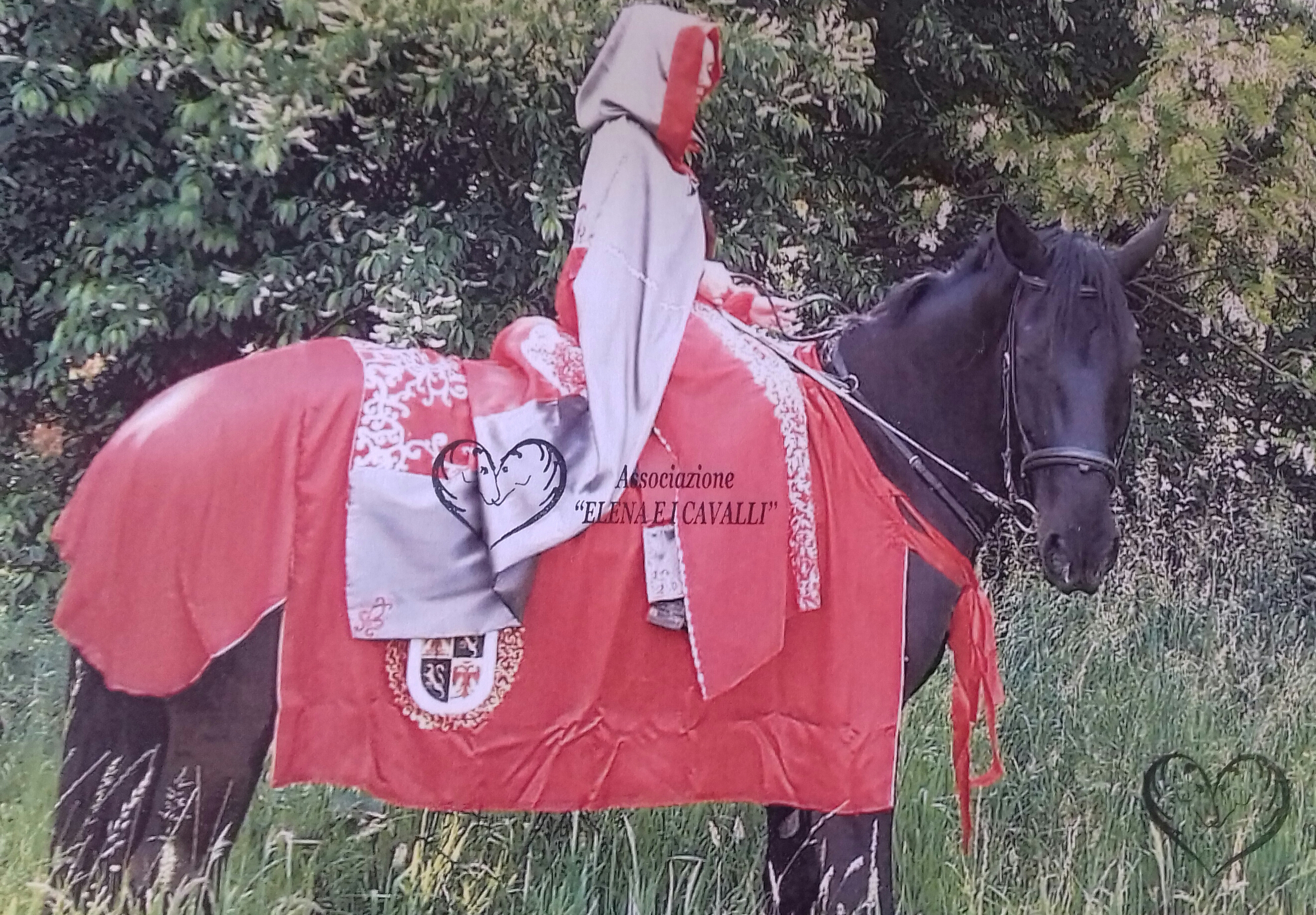 associazione elena e i cavalli onlus