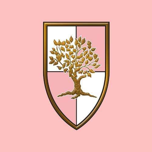 Tamburi della Laboriosa Contrada di Ca'Oddo