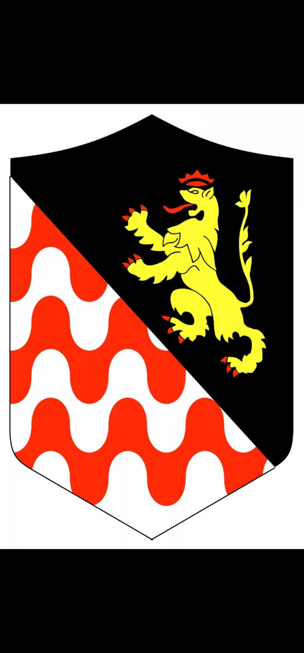 Sbandieratori e musici del Leon Coronato di Spilimbergo