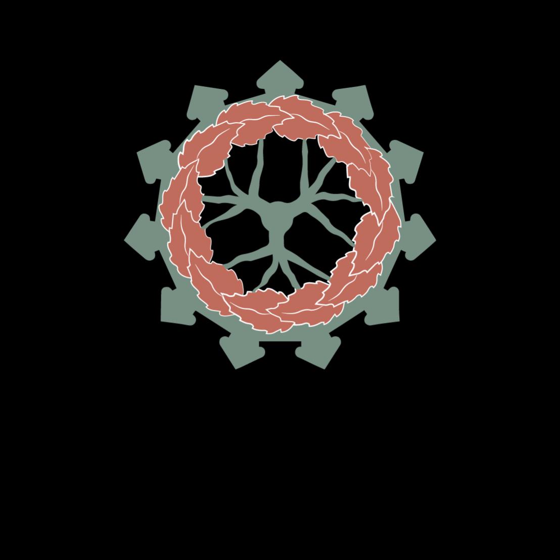 Lo Studiorum -Lucca a.p.s.