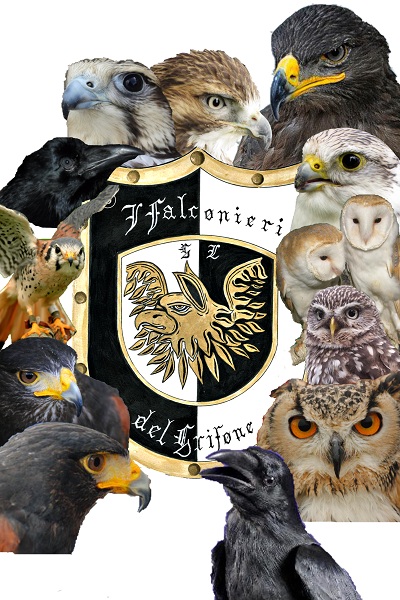 I Falconieri del Grifone