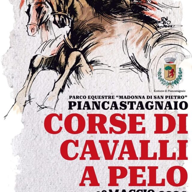 Palio delle Contrade (Piancastagnaio)
